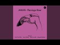 Flamingo River (Piyush Awasthi Remix)