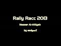 RallyRacc 2013 Crash Nasser Al-Attiyah by ecdgas!