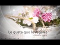 Floristería online y física en Murcia. Todo en arreglos florarles. Ramos de flores y bouquets.