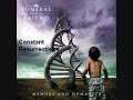 Constant Resurrections Video preview