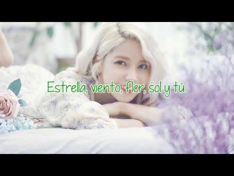 Star, Wind, Flower, & Sun (Solo Ver.) Video