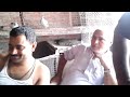 indian pigeon