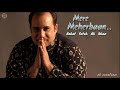Rahat Fateh Ali Khan - Mere Mehraban | New Song