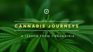 Cannabis Journeys: Lorenz Minks from CANNAVIGIA