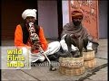 Snakes 'dancing' to a tune?