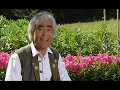 Takeo Ischi - New Bibi Hendl 2011