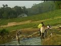 bathing in ganga