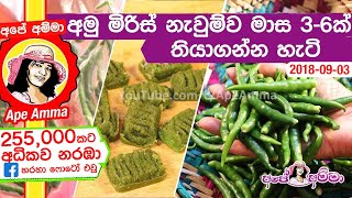 How to preserve green chilies upto 6 months