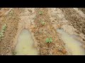 Update on all the work done on the farm!