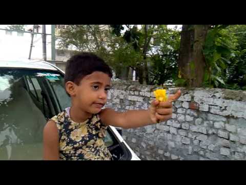 Chale jaise hawaen sanan sanan shalu by shamim akhter
