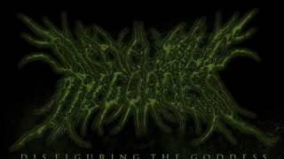 Watch Disfiguring The Goddess Pacifism Of Insignificancy video