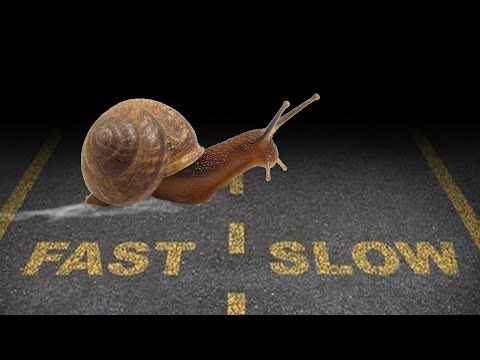 Warning: Slow Pokes In Georgia Are Now Ticketed Warning: Slow Pokes In Georgia Are Now Ticketed klip izle