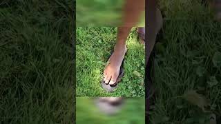 I Am Sunscreen -Mark Daniels Jr.