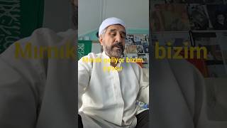 Bizüm Kedi Mırnık