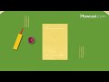 How to Play Cricket