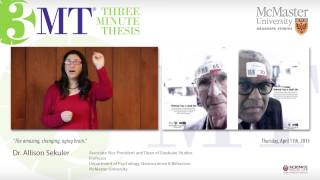 Three Minute Thesis - Dr. Allison Sekuler