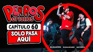 Perros Criollos - Solo Pasa Aquí, Cap. 60