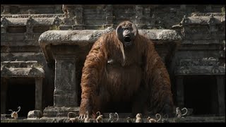 Jungle Book (2016) - monkey fight + King Louie chasing Mowgli
