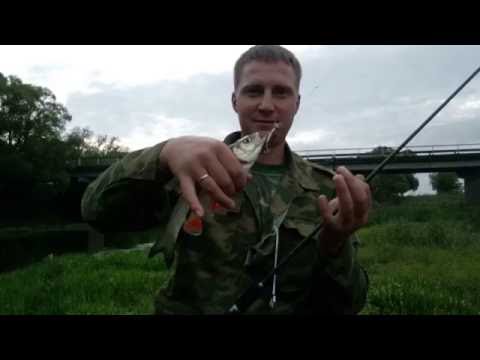 ловля голавля весной на малых реках украины видео ловля голавля весной на малых реках украины видео