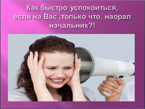 Что делать если сотрудник на тебя накричал
