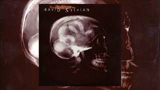 Watch David Sylvian God Man video