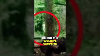 Witch Figure Caught On Camera In The Woods