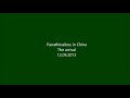 Panathinaikos BC in China - The arrival