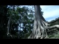Ebs 3d Doentary The Land Of Gods Angkor