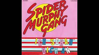 Watch Spider Murphy Gang So A Schoner Tag video