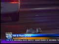 Pedestrian hit
