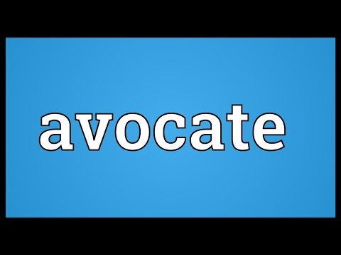 Header of Avocate