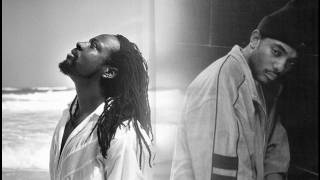 Watch Wyclef Jean Rebel Music video