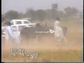 Bull Race Jhelum Dina 04 04 2004