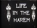Video Arab Harem 90 years ago Video Arab Harem 90 years ago