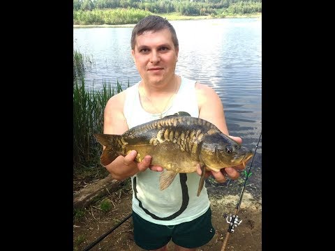 ловля карпа на рузском водохранилище ловля карпа на рузском водохранилище