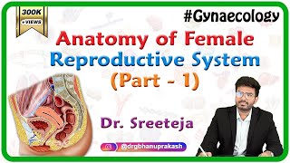 Anatomy of Female reproductive system Part 1-External Female Genitalia / Vagina 
