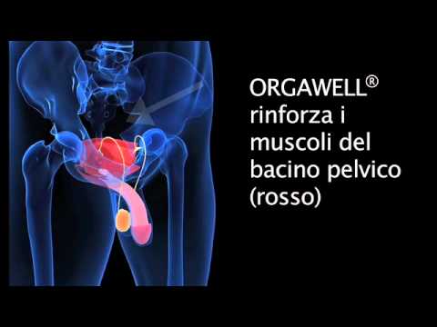 Laphrodisiacs come rafforzare una potenzialità