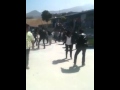 Los Guapos bailando con señoras Los Guapos bailando con señoras