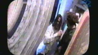 Watch Trash Can Sinatras Bloodrush video