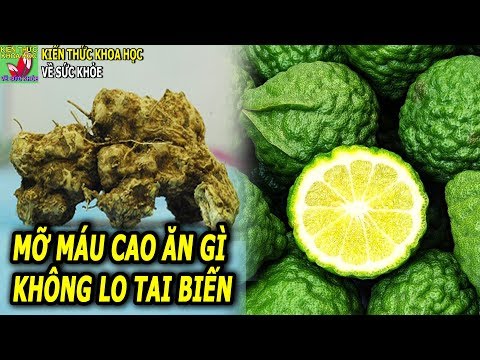 Mỡ máu cao nên ăn gì để giảm mỡ trong máu và phòng tránh tai biến