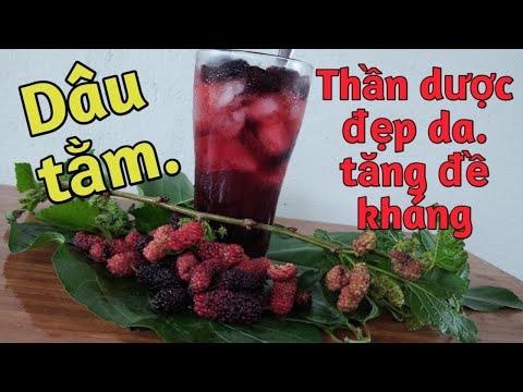 Cách nấu nước dâu tằm giải khát , làm đẹp da và tăng đề kháng cực tốt | thức uống mùa hè số 1