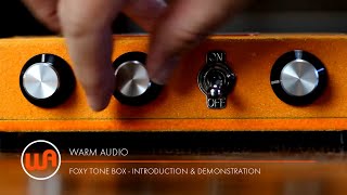 Warm Audio // Foxy Tone Box - Introduction & Demonstration