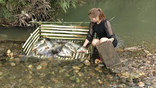 Top Video: Survival In The Wild Using Skills Create Traps To Catch Fish,Wild Fishing Techniques,