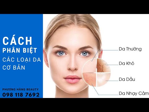 Cách Phân Biệt Các Loại Da Cơ Bản