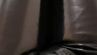 Fart In My Pvc Pants 2