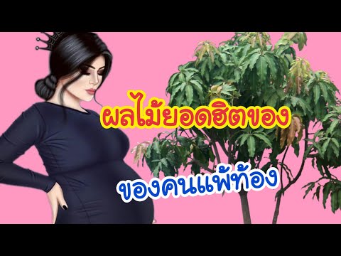 ผลไม้ยอดฮิตของคนแพ้ท้อง | ผลไม้แก้แพ้ท้อง