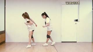 Exo Growl Dance Cover By Waveya