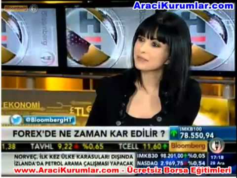 Forex 1 lot ne demek