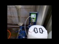 ECO 800