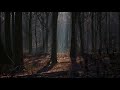 The Journey - Andy Leech